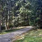 Nyaraló Loghouse In The Forest *