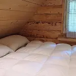 Loghouse In The Forest