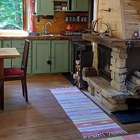 Loghouse In The Forest *