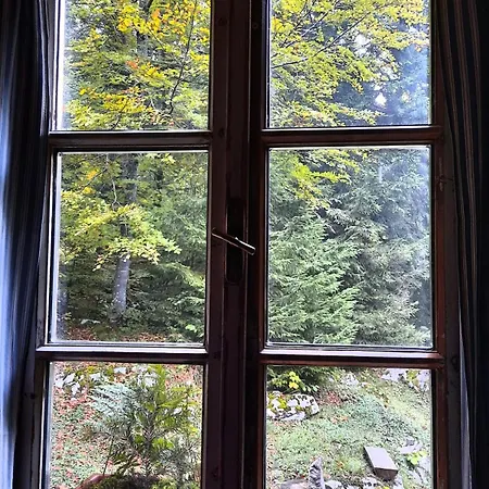 Loghouse In The Forest Kocevje