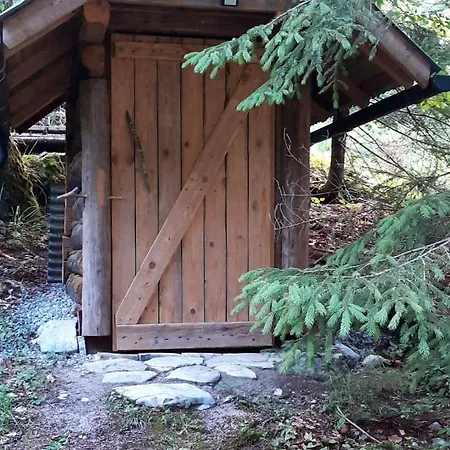 Loghouse In The Forest