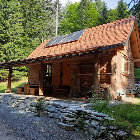 Loghouse In The Forest