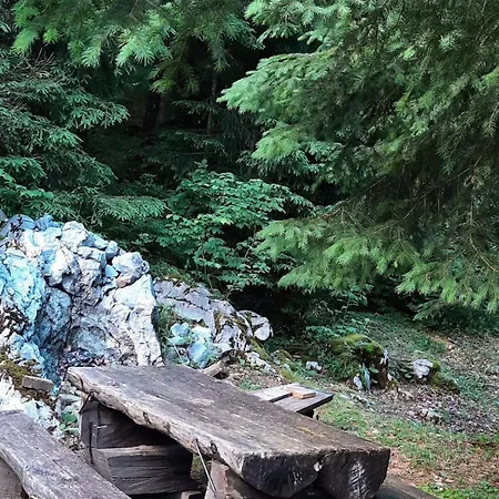 Casa de Férias Loghouse In The Forest Kocevje