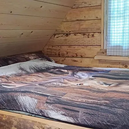 Loghouse In The Forest *