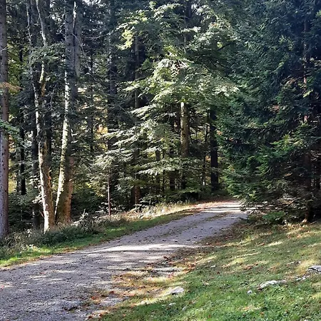 Casa de Férias Loghouse In The Forest *