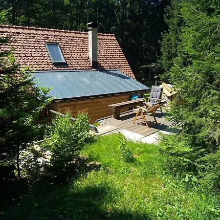 Loghouse In The Forest