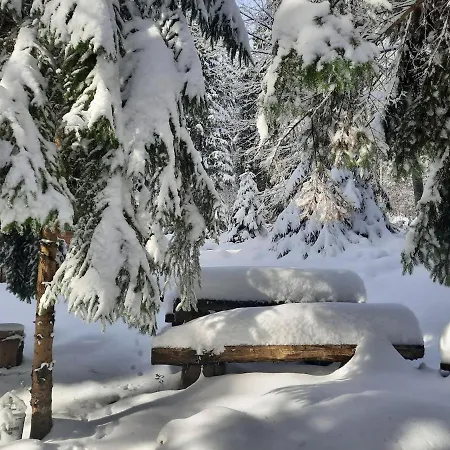 Loghouse In The Forest Nyaraló