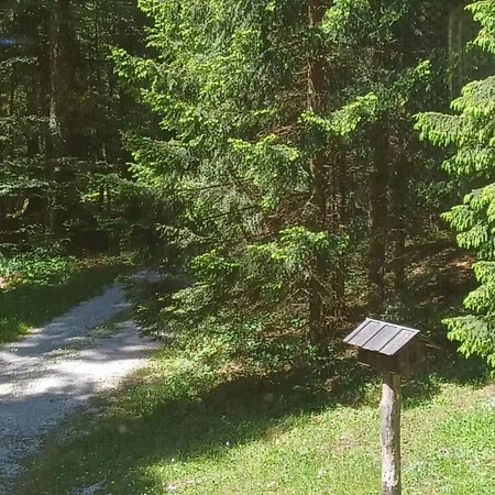 Loghouse In The Forest Kocevje