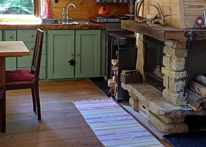 Loghouse In The Forest *