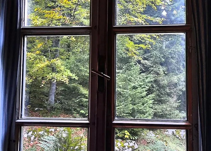 Loghouse In The Forest Kocevje