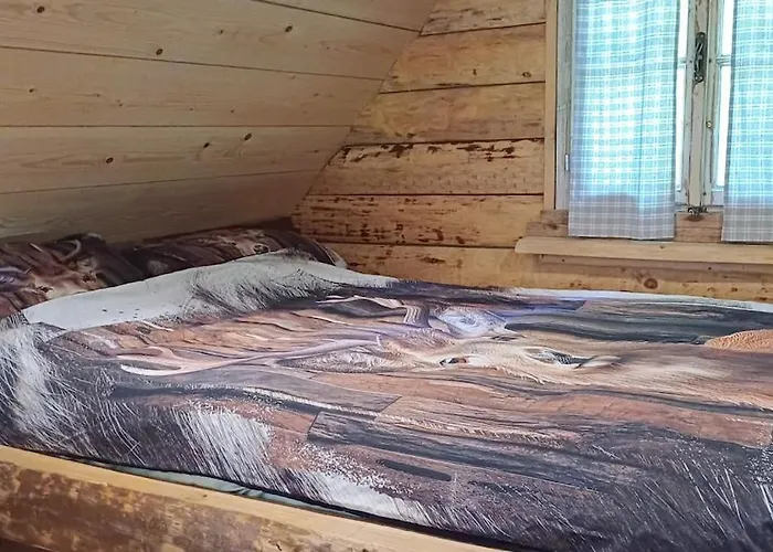 Loghouse In The Forest *