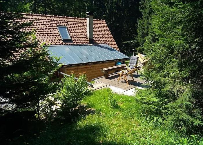 Loghouse In The Forest