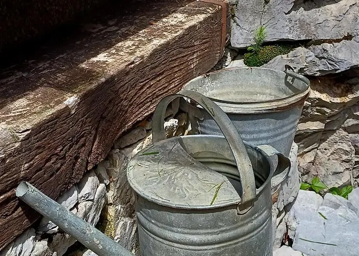 Loghouse In The Forest Ferienhaus