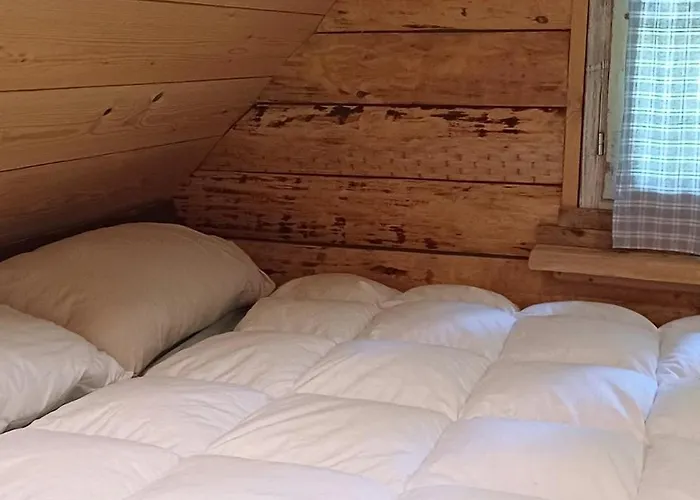 Loghouse In The Forest