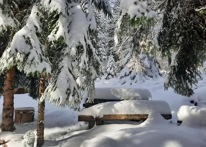 Loghouse In The Forest Ferienhaus