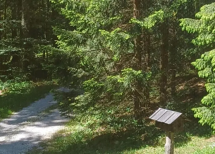 Loghouse In The Forest Kocevje